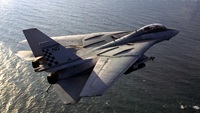 Tomcat F14
